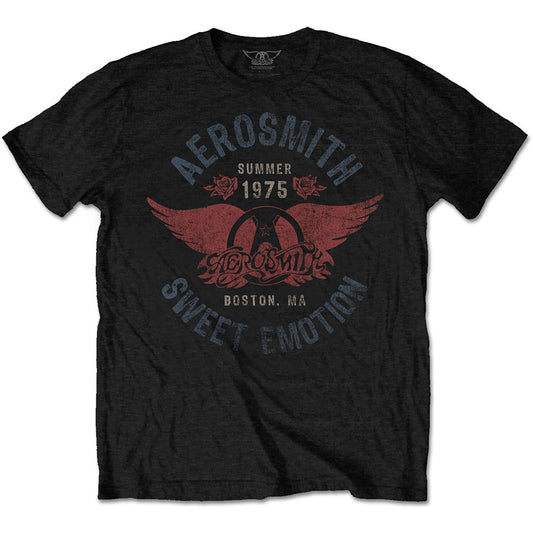 Aerosmith Sweet Emotion Tee