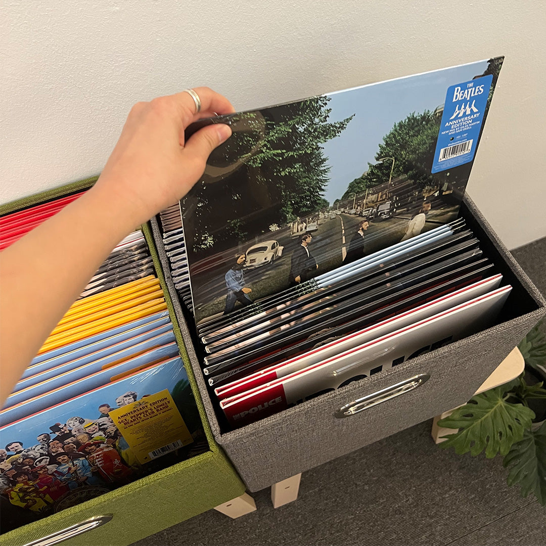 Samantha Box Record Storage Box